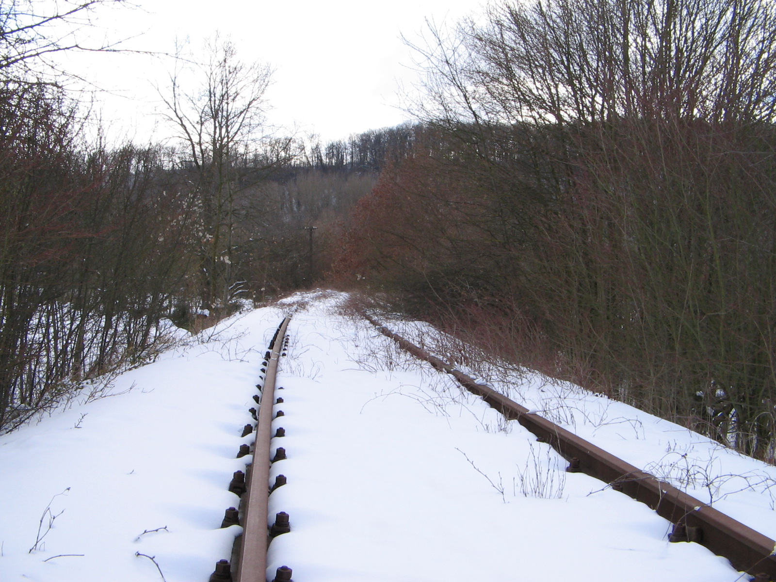 27.02.2005 - Stillgelegte Bahngleise der Zabergäubahn im Schnee bei Lauffen am Neckar