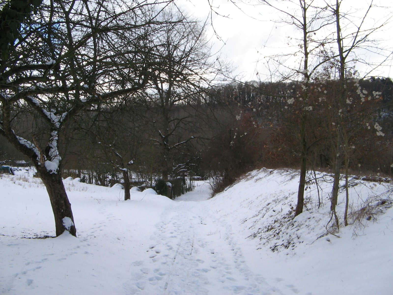 27.02.2005 - Winter am alten Bahndamm der Zabergäubahn bei Lauffen am Neckar