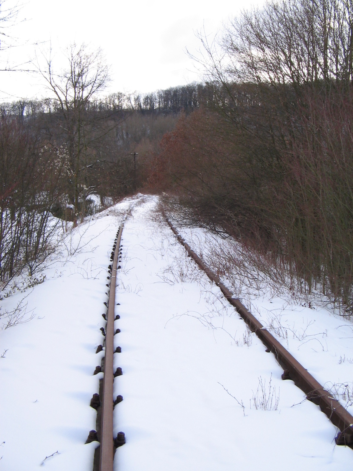 27.02.2005 - Stillgelegte Bahngleise der Zabergäubahn im Schnee bei Lauffen am Neckar