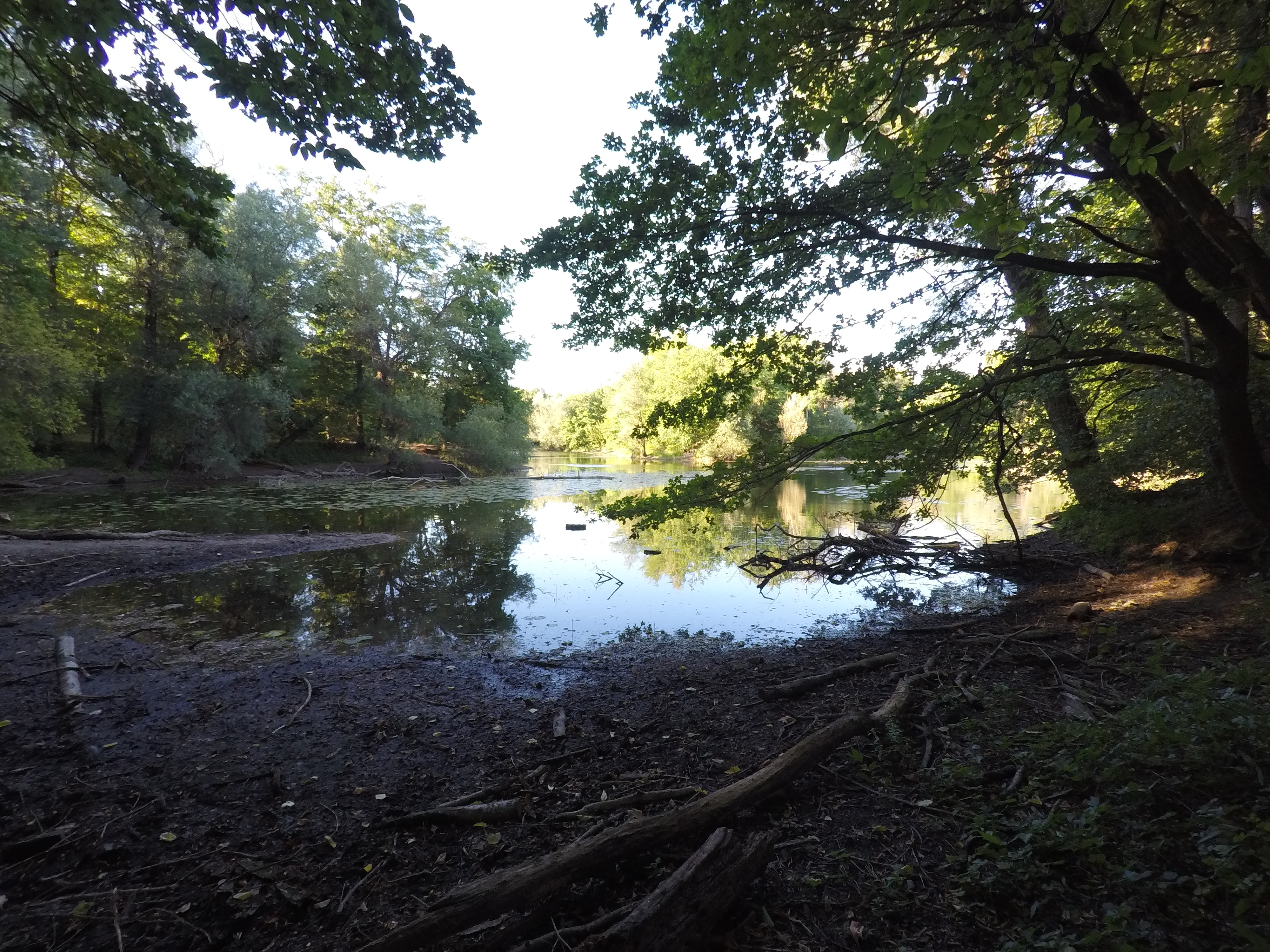 20.08.2022 - Der Oberwald See in Karlsruhe