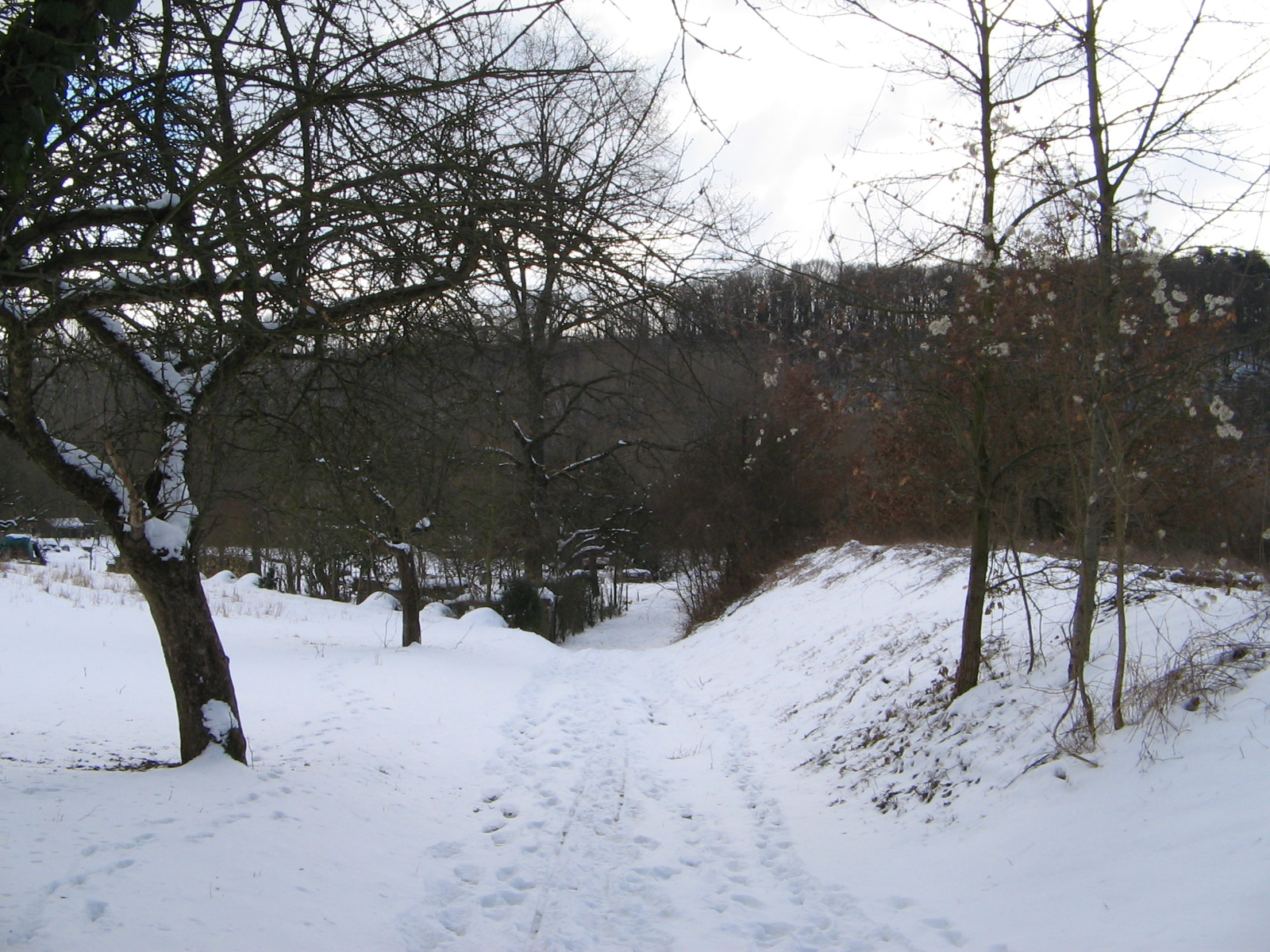 Winter am alten Bahndamm der Zabergäubahn bei Lauffen am Neckar (Foto)