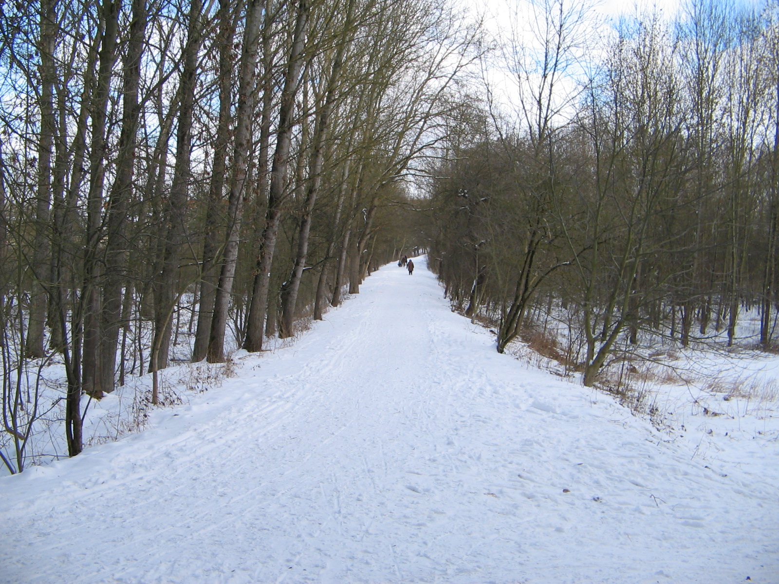 Winter auf dem Seegraben-Damm bei Lauffen am Neckar (Foto)