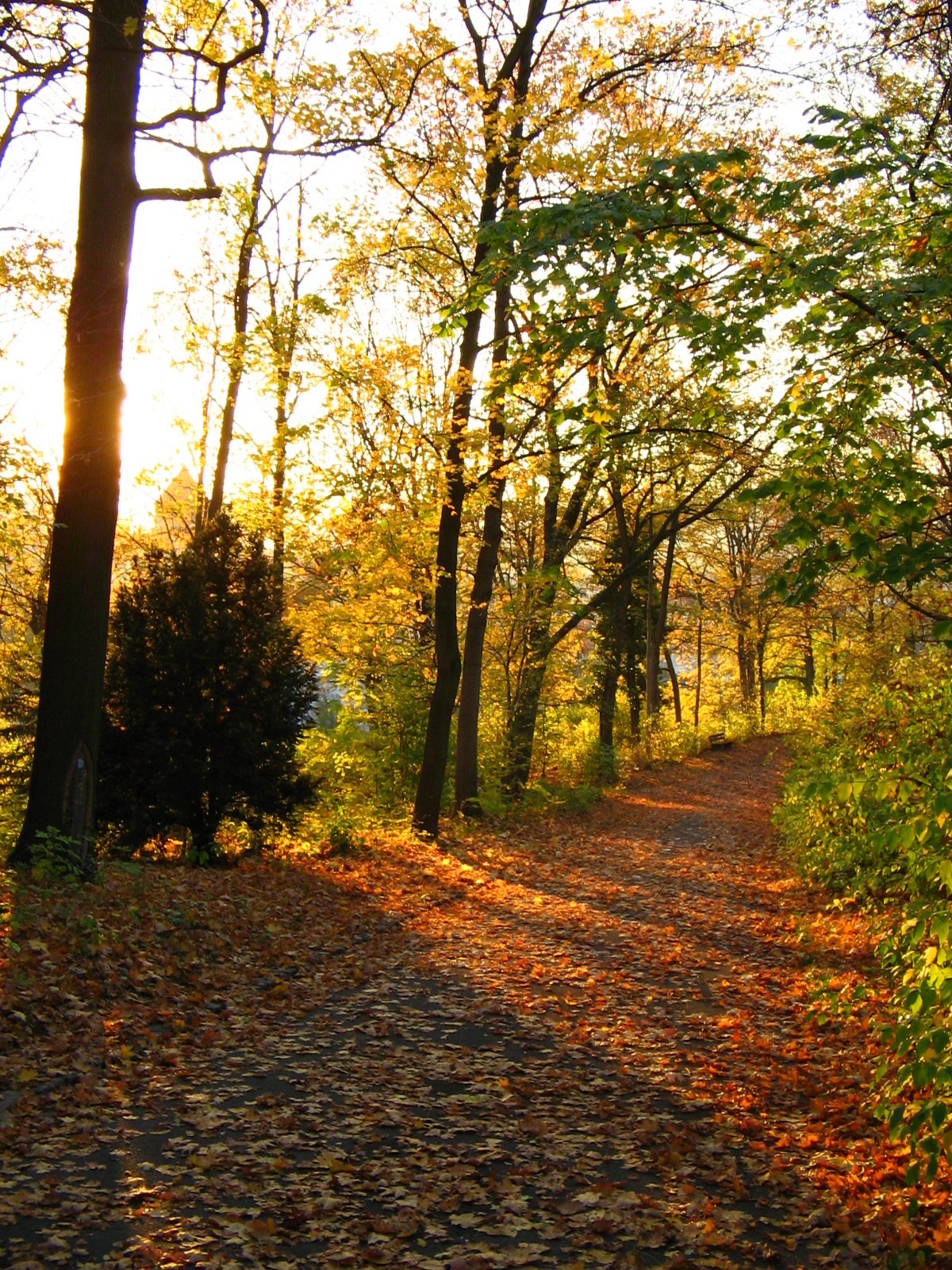 Herbst im Park der Villa Berg Stuttgart (Foto)