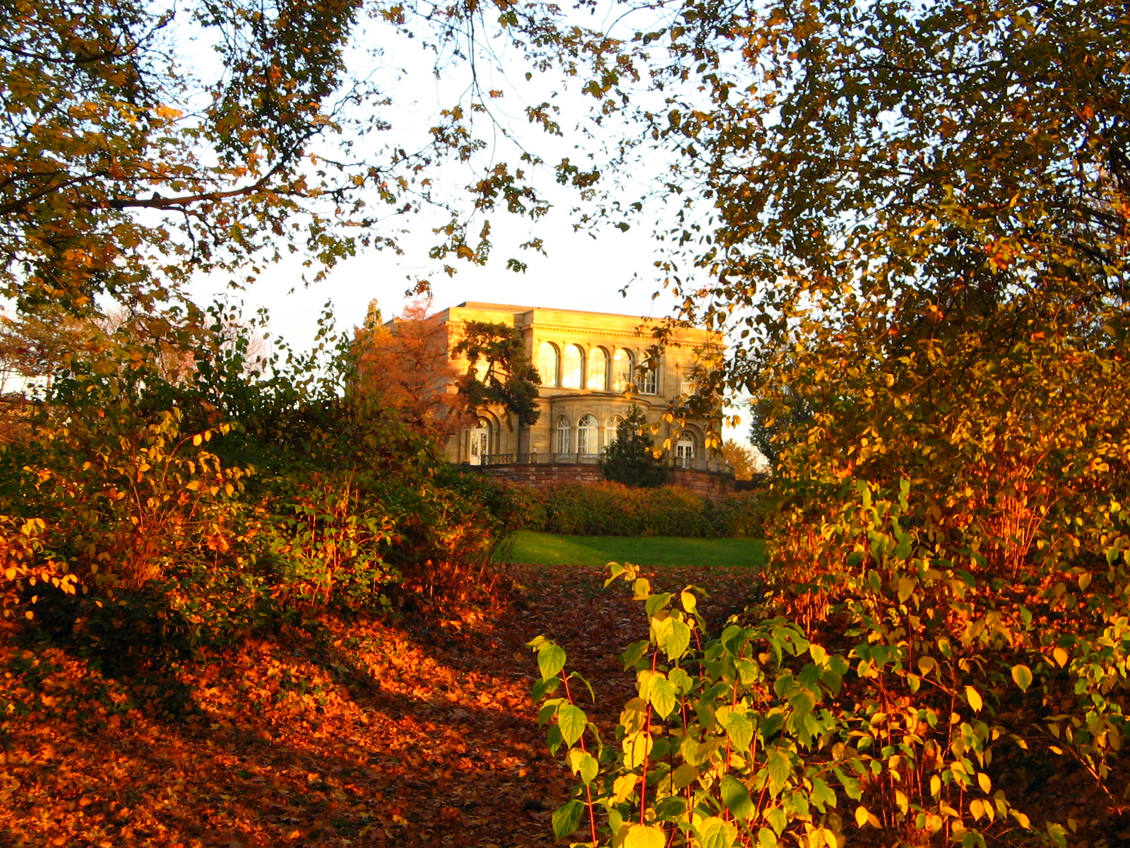 Herbst im Park der Villa Berg Stuttgart (Foto)