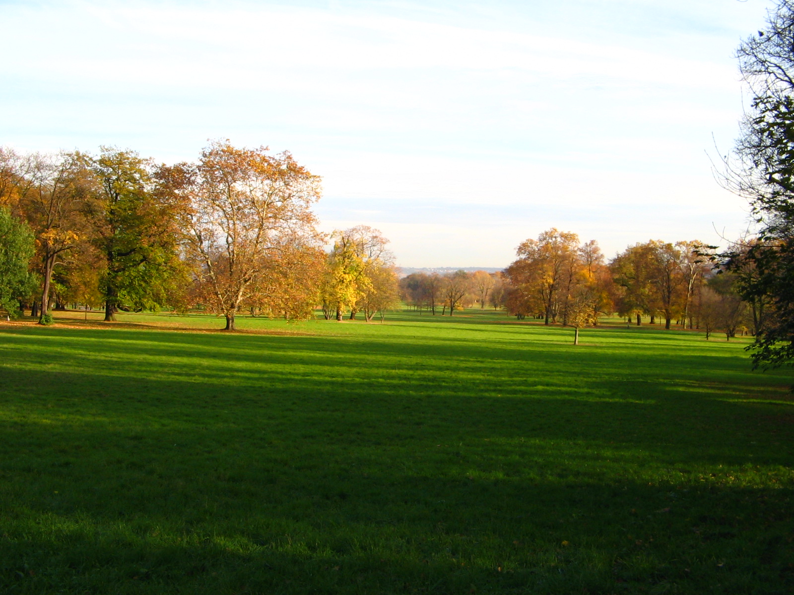 Herbst im Rosensteinpark Stuttgart (Foto)