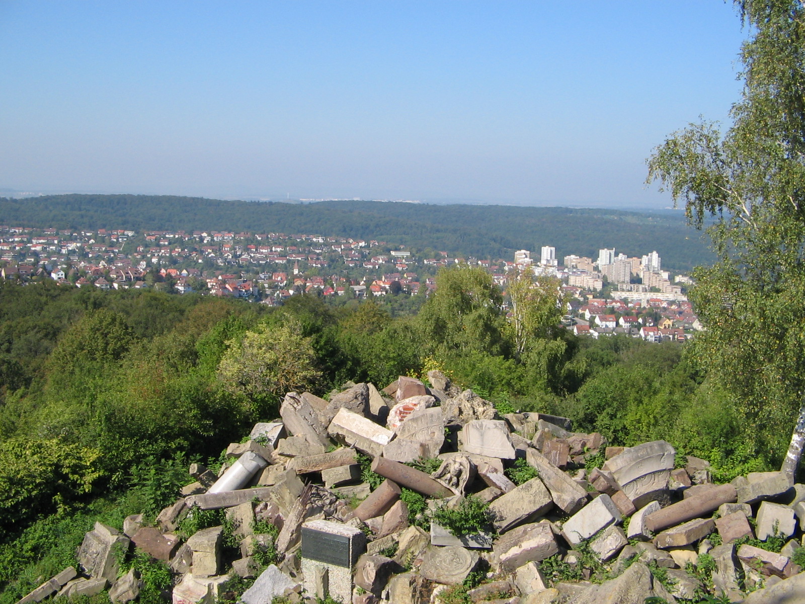 Blick vom Birkenkopf Richtung Stuttgart-Botnang (Foto)