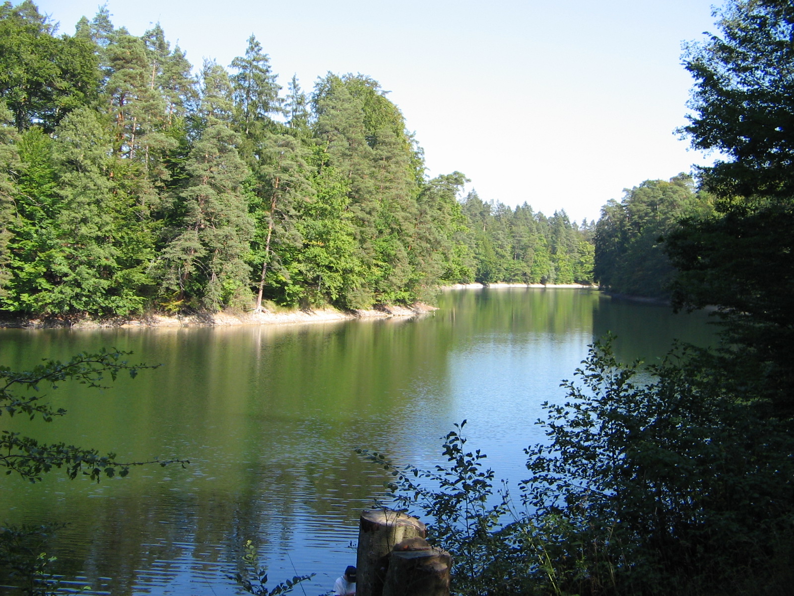 Neuer See im Rotwildpark (Foto)