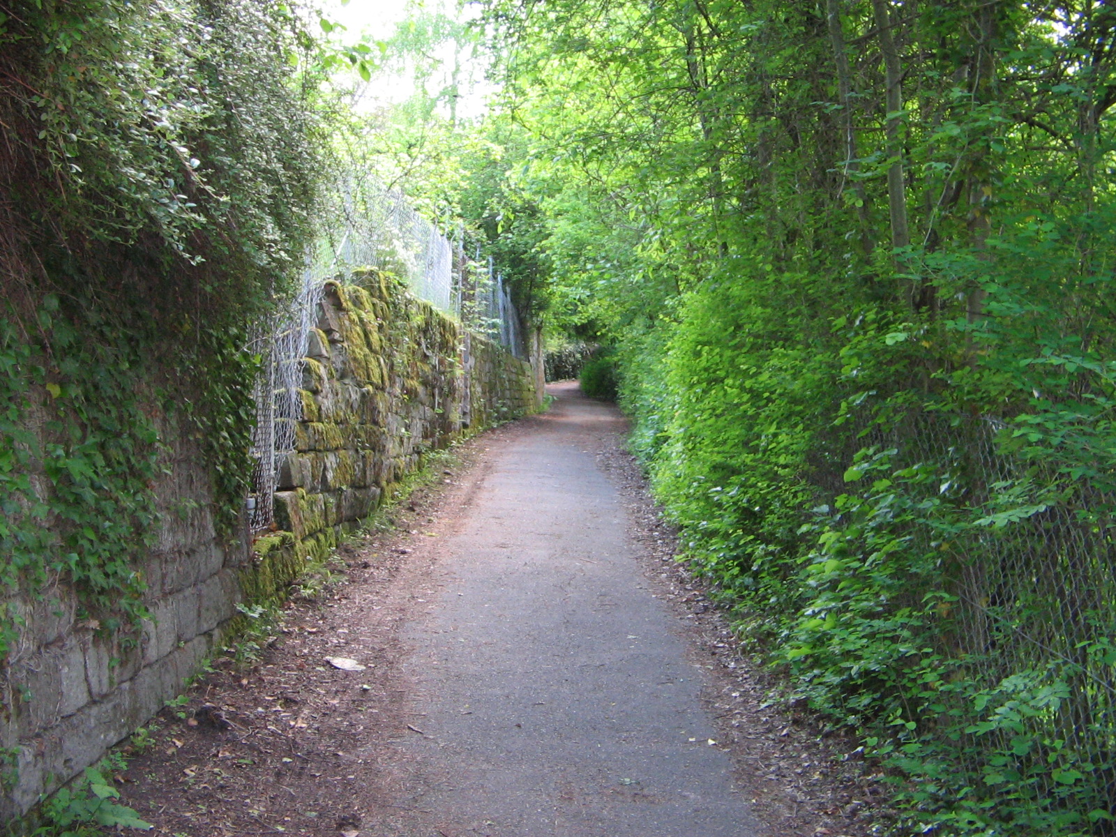 Auf dem Pfaffenweg (Foto)