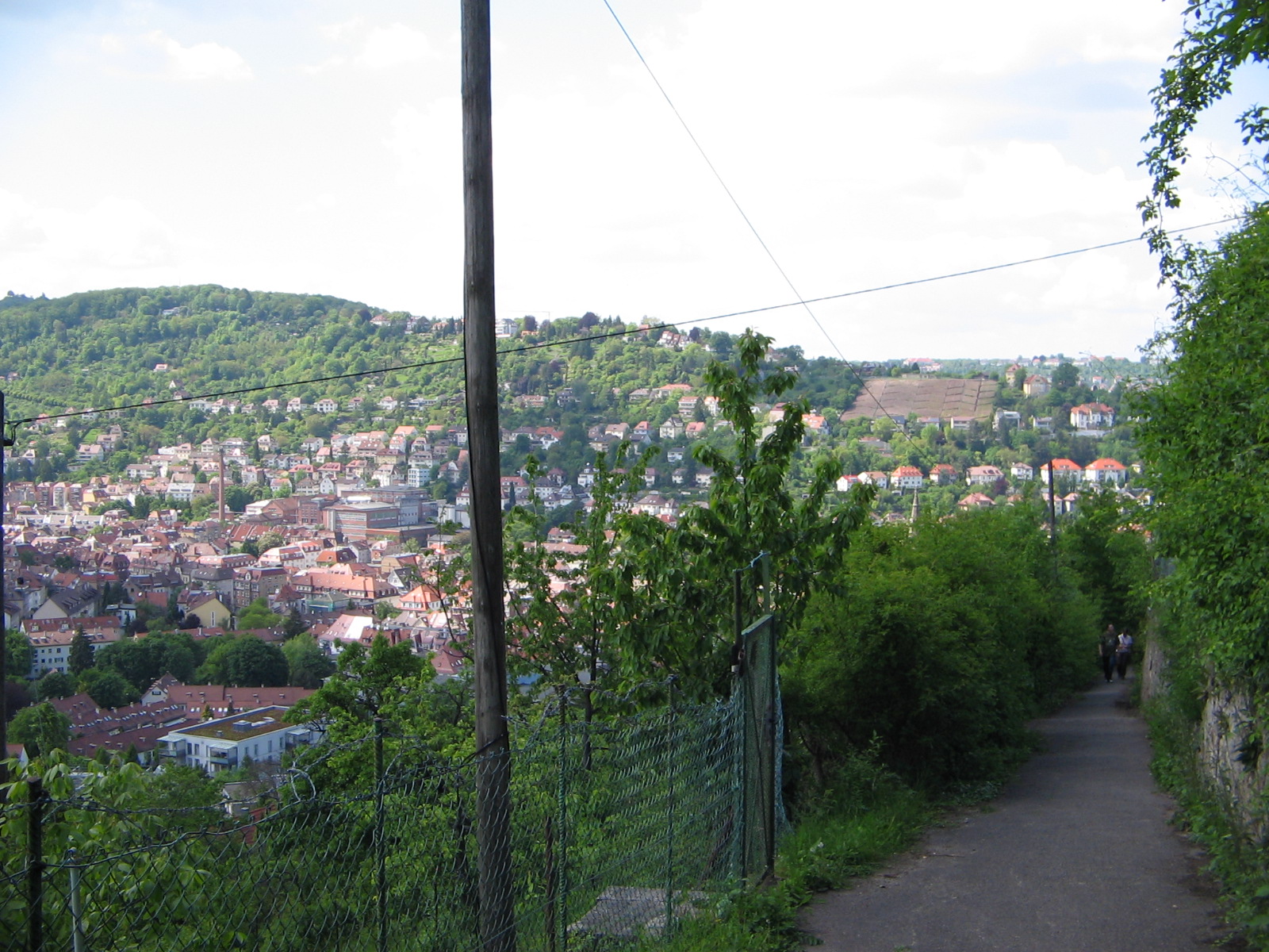 Blick vom Pfaffenweg Richtung Hasenberg (Foto)