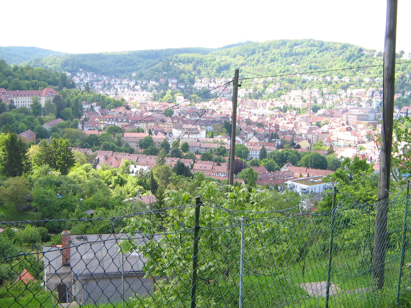 Blick vom Pfaffenweg Richtung Heslach und Südheim (Foto)