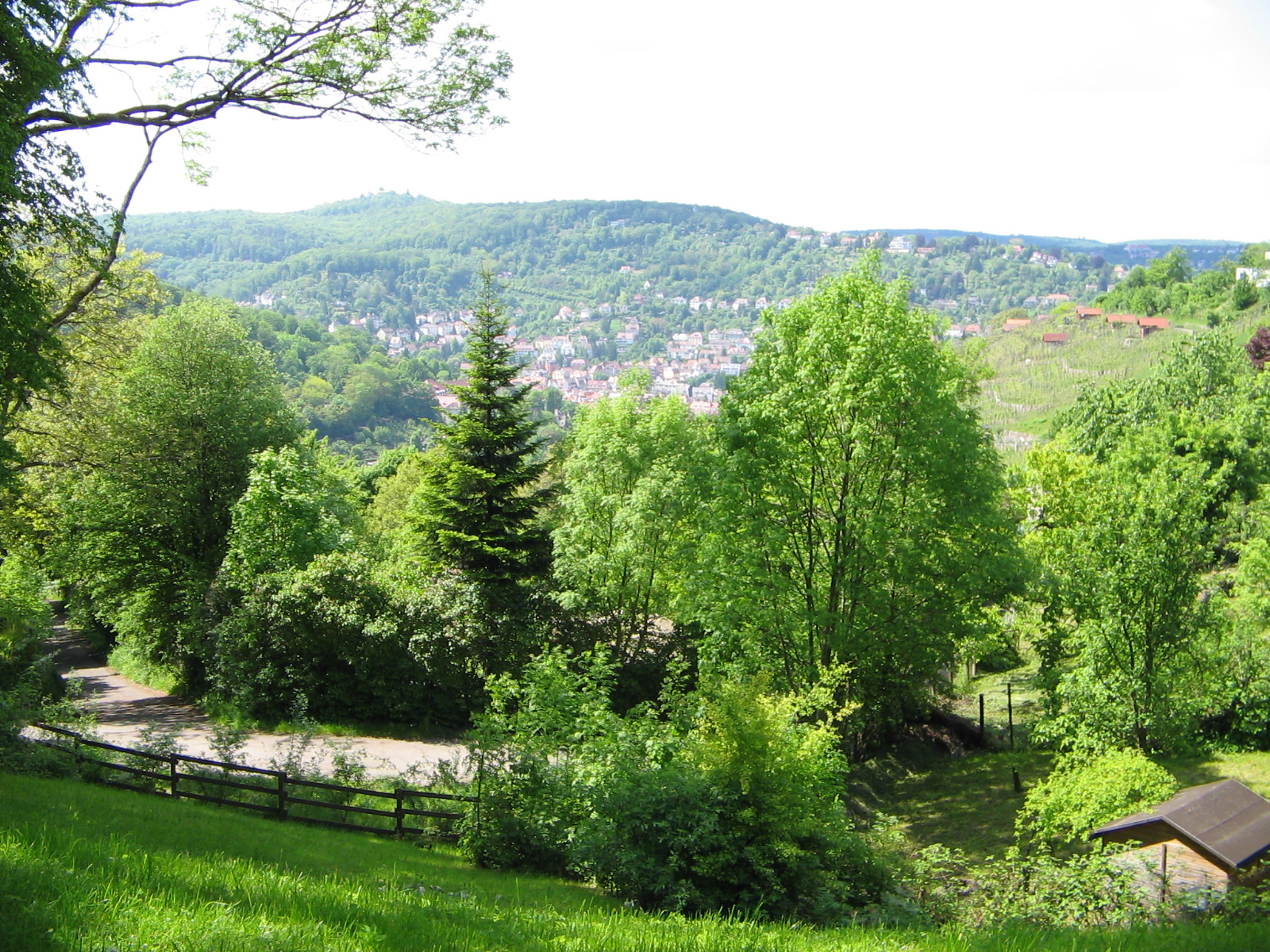 Blick vom Schimmelhüttenplatz Richtung Hasenberg (Foto)