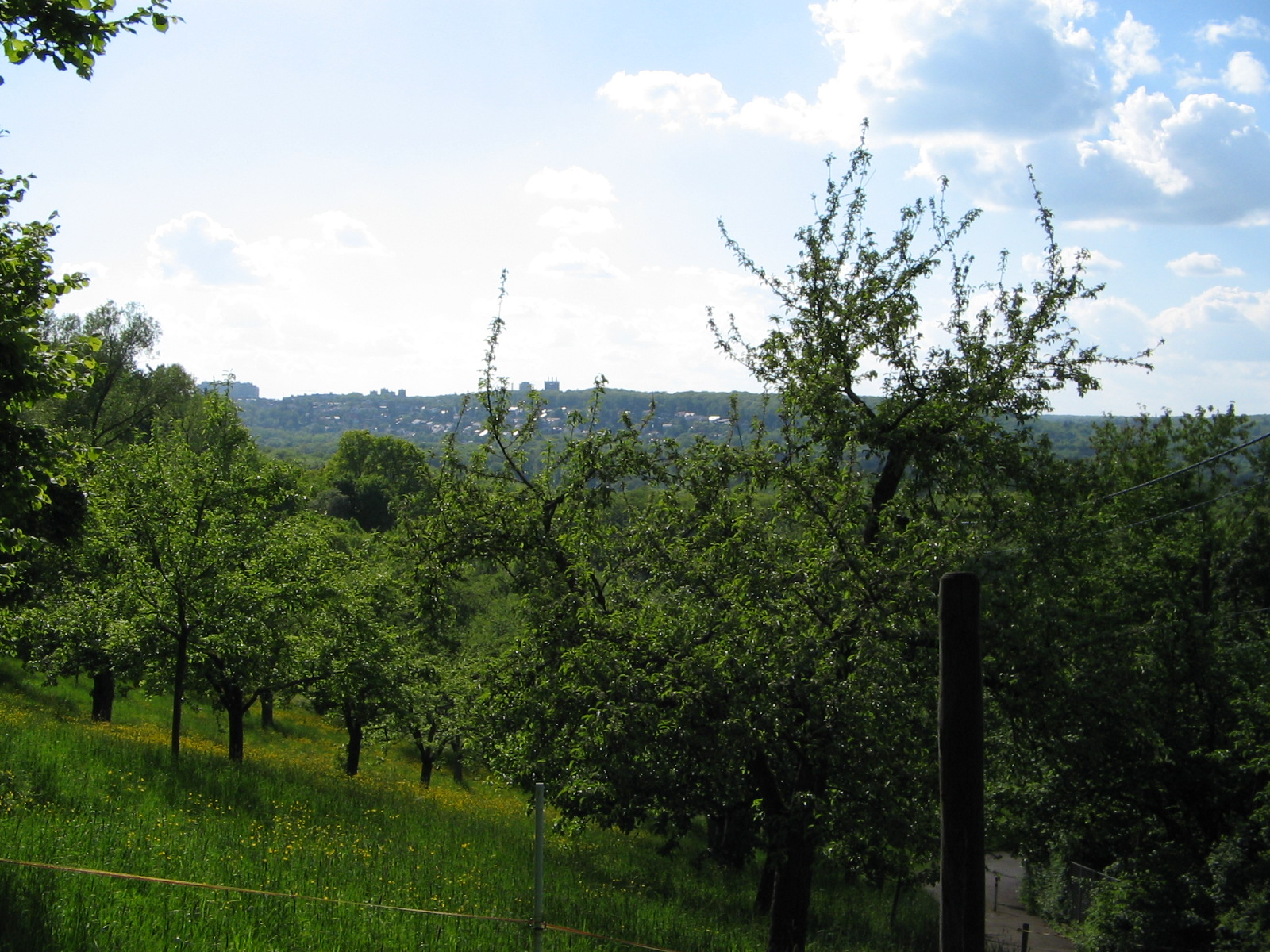Blick von Landschaftschutzgebiet Im Kressart Richtung Wildpark und Schattenring (Foto)