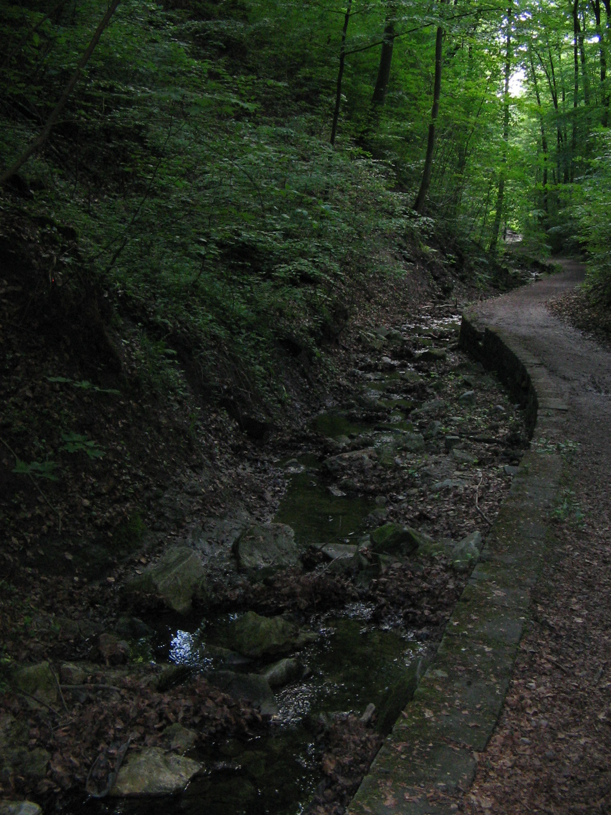 In der Schwälblesklinge (Foto)