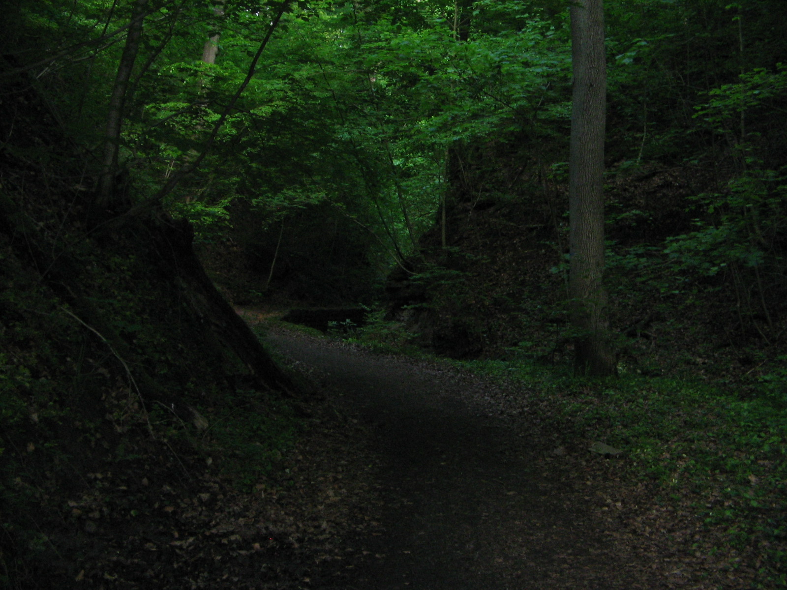 In der Schwälblesklinge (Foto)