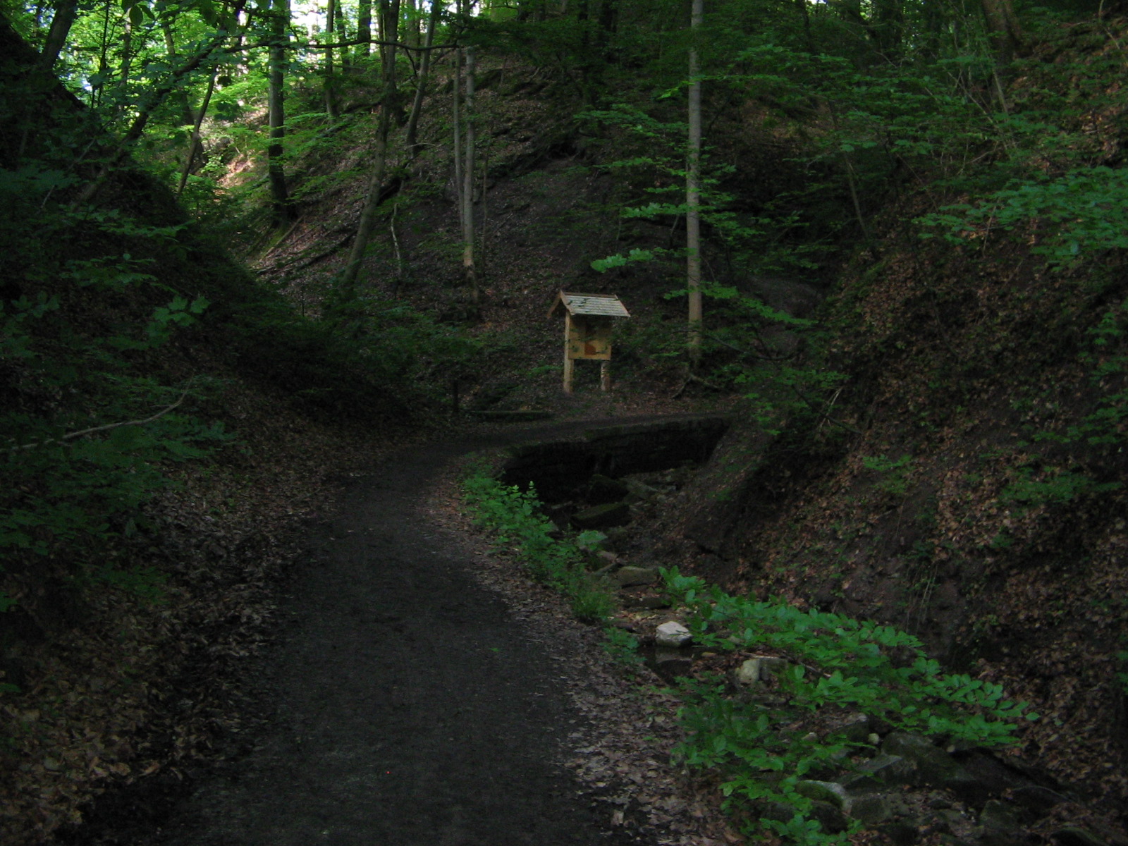 In der Schwälblesklinge (Foto)