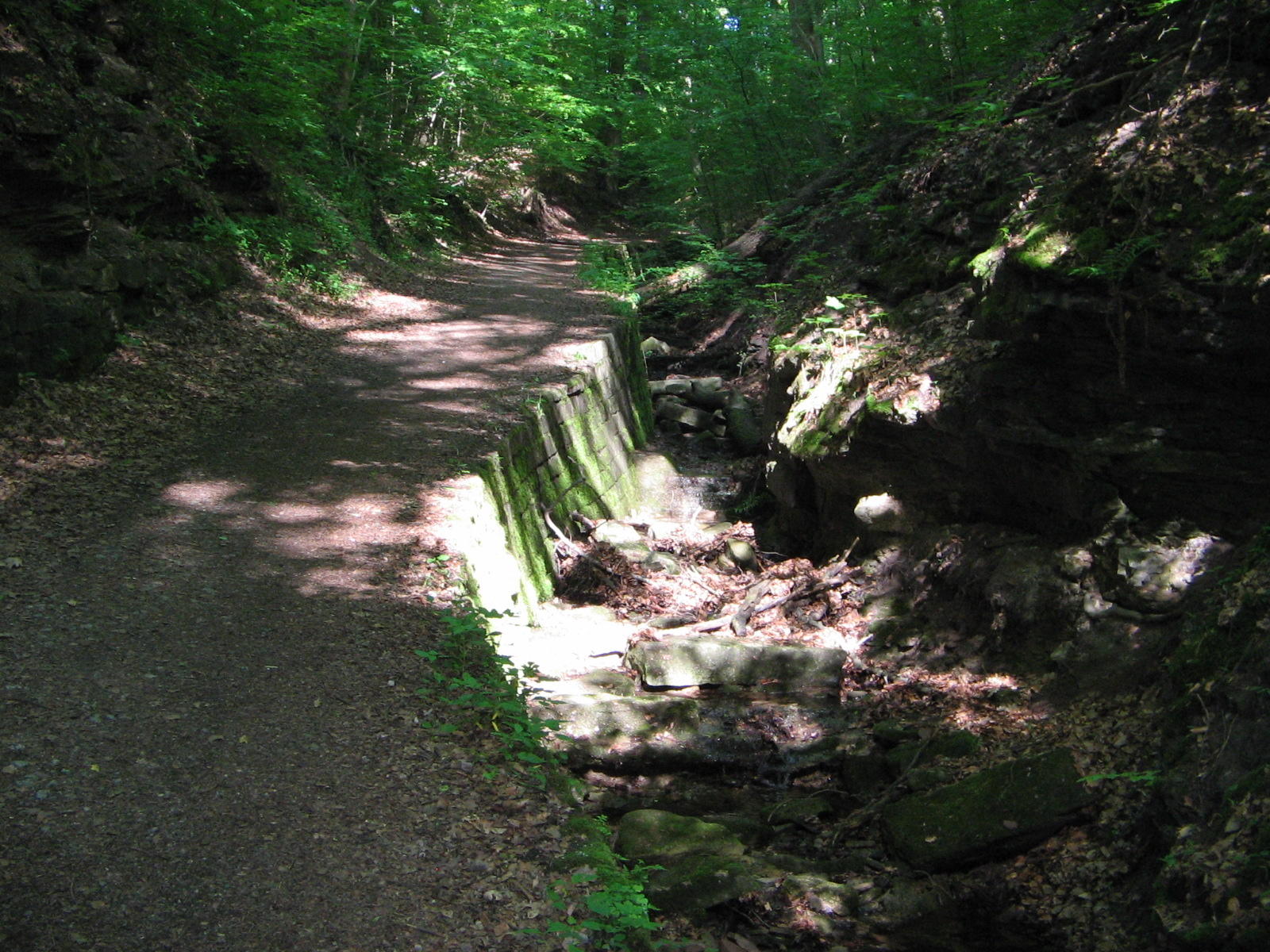 In der Schwälblesklinge (Foto)
