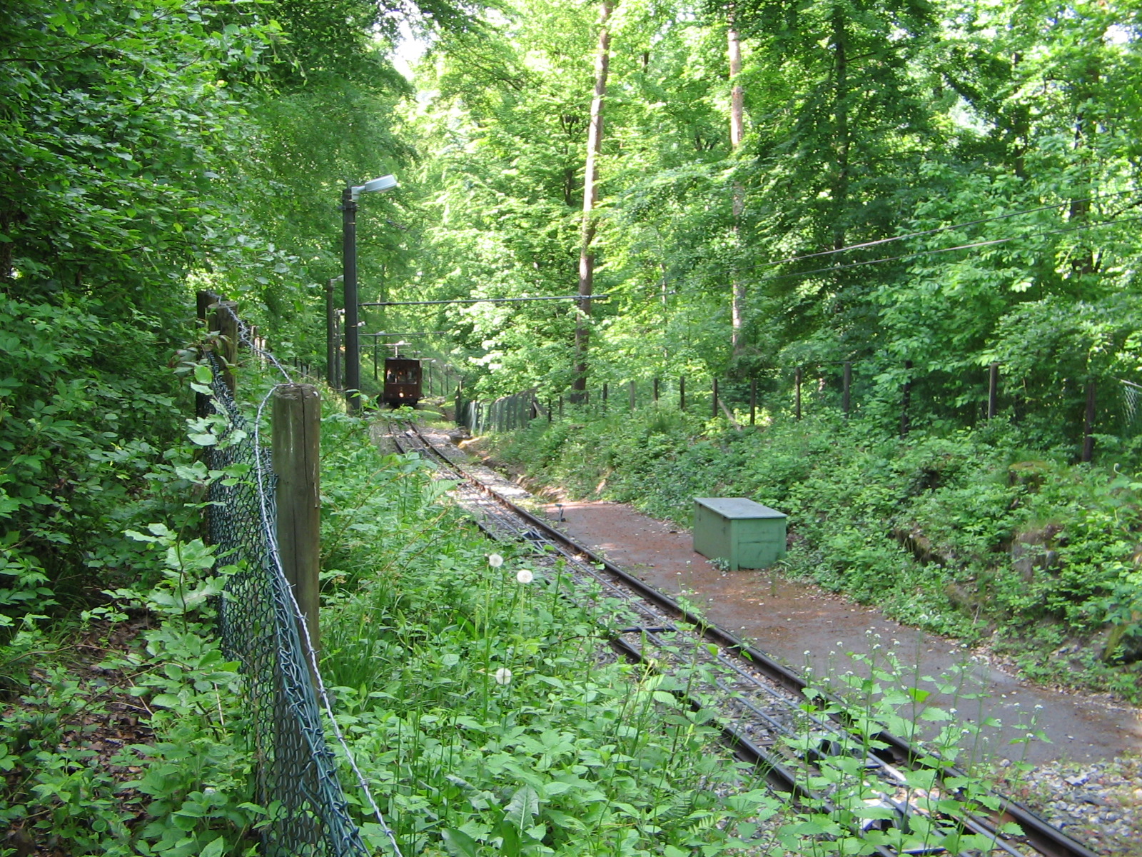 Standseilbahn zum Waldfriedhof (Foto)