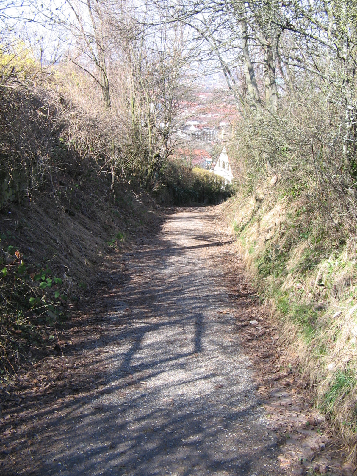Auf der Heide in Stuttgart-Gaisburg (Foto)