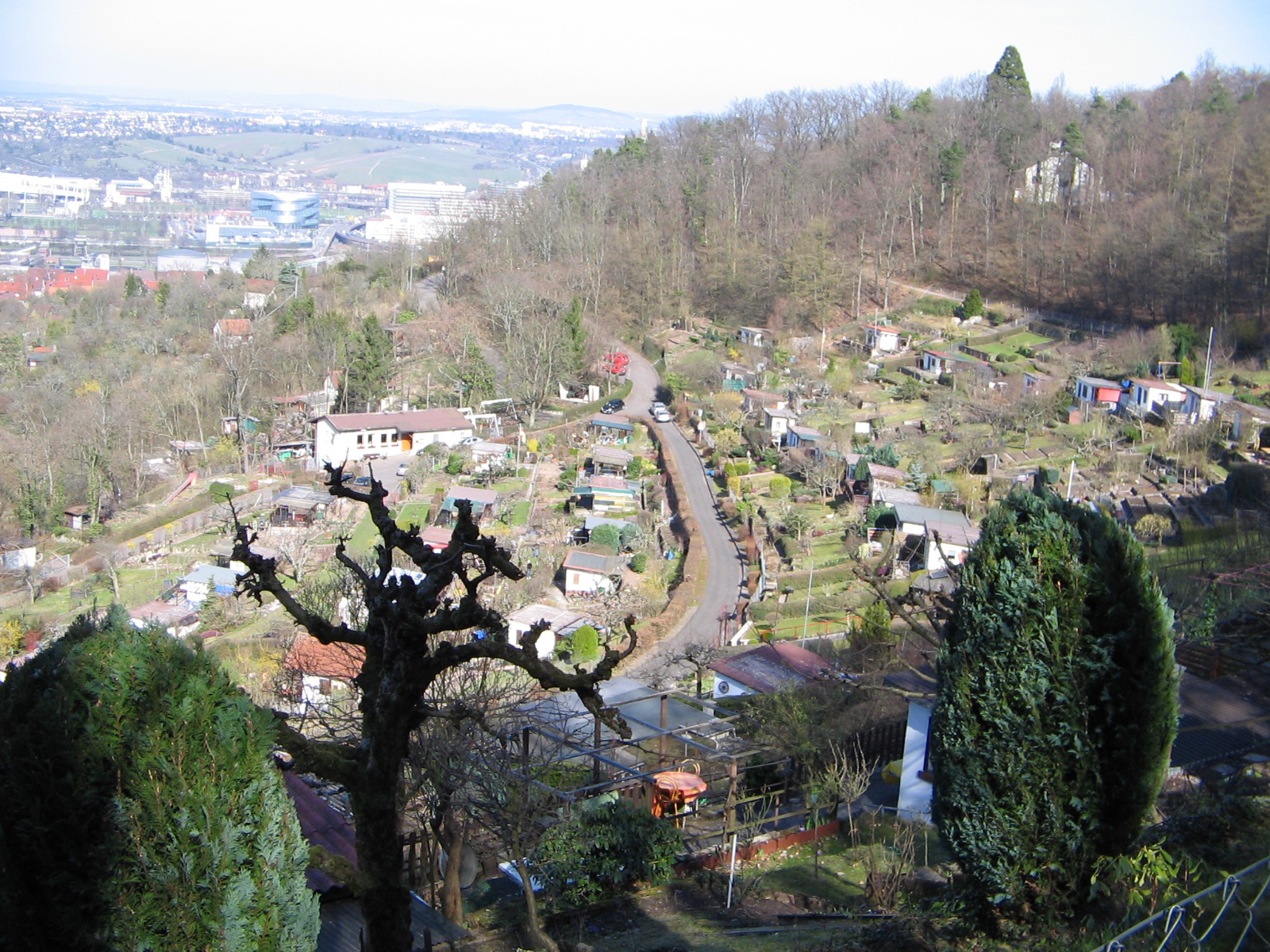 Blick über die Raichberg Kleingartenanlage (Foto)