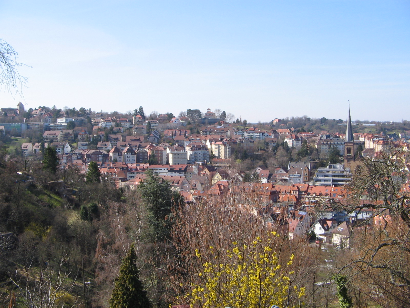 Blick vom Cannstatter Rain über Stuttgart-Gablenberg zu Geroksruhe und Uhlandshöhe (Foto)