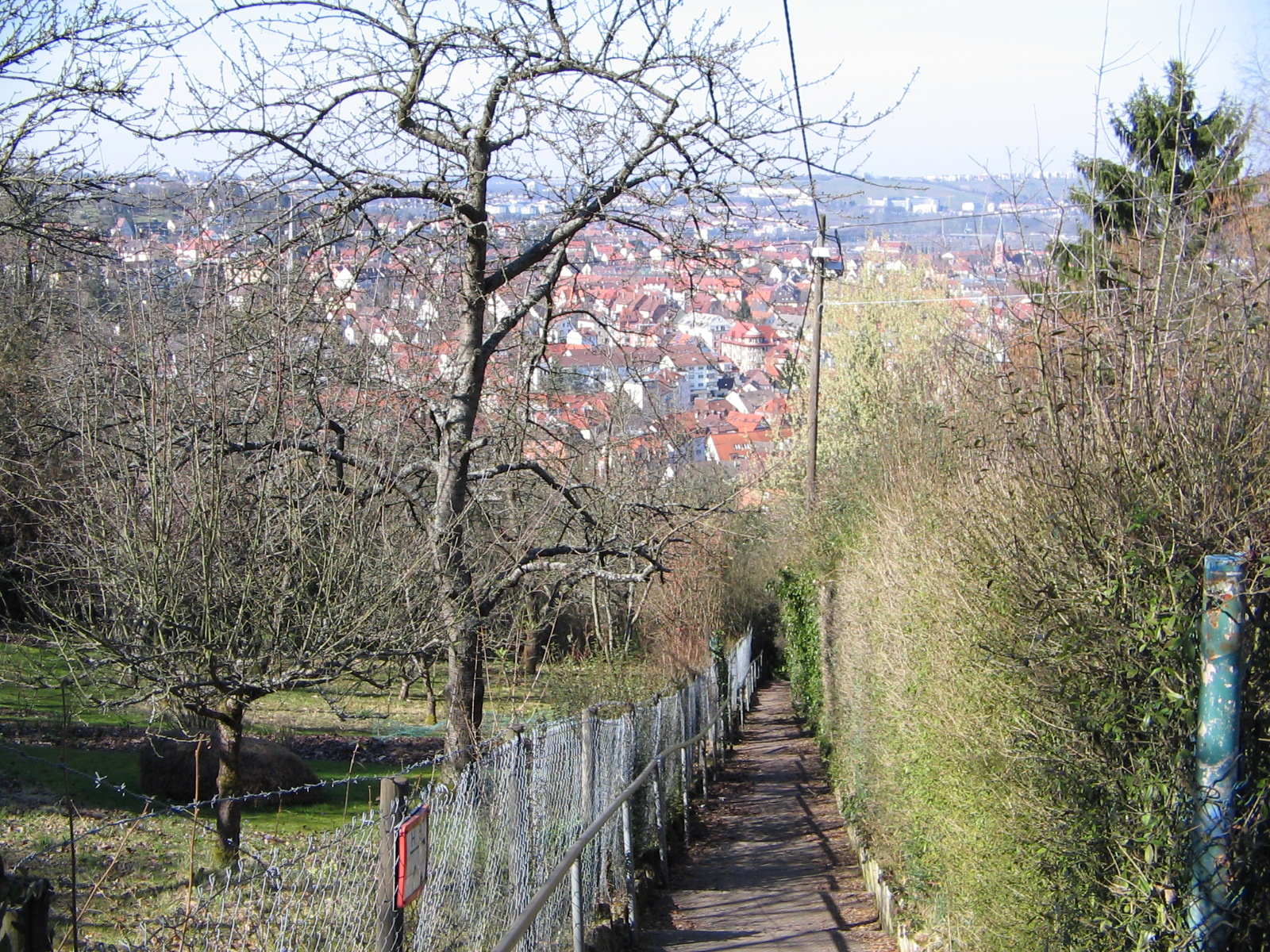 Die Buchwaldstaffel in Stuttgart-Gablenberg (Foto)