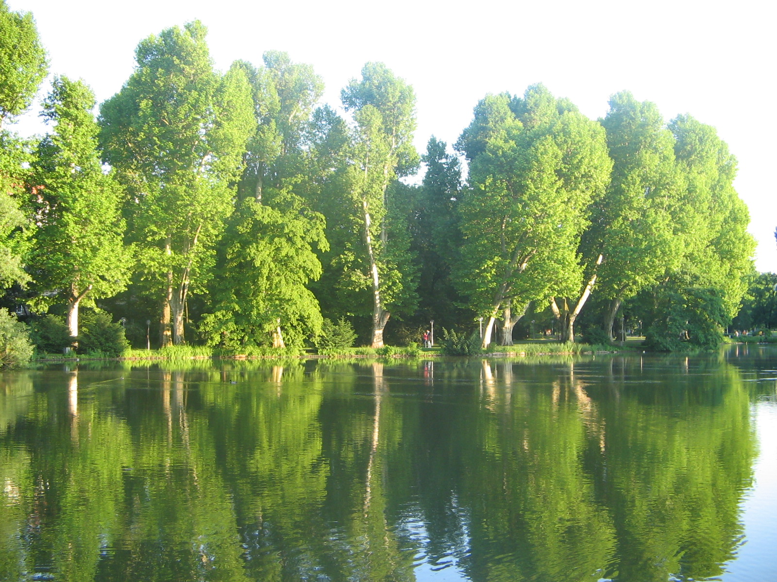 Abendstimmung am Anlagensee im Mittleren Schlossgarten (Foto)