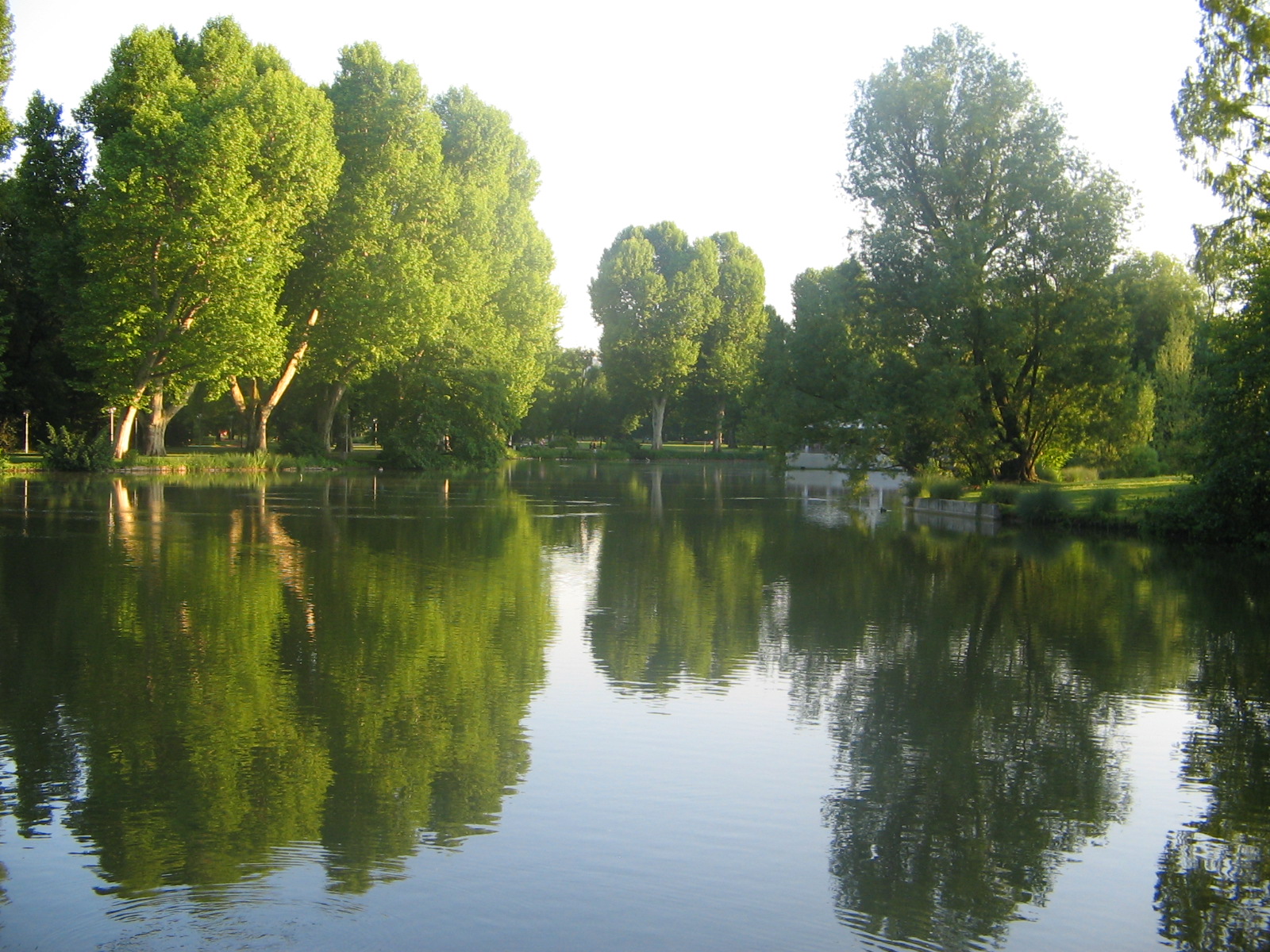 Abendstimmung am Anlagensee im Mittleren Schlossgarten (Foto)