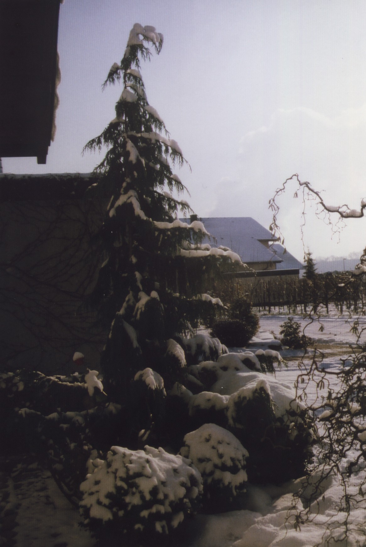 1997-Schneelandschaft-bei-Lauffen-am-Neckar.jpg