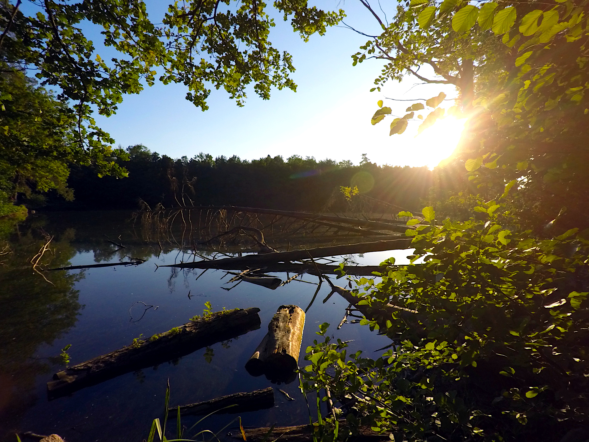 Pfaffensee (Foto)