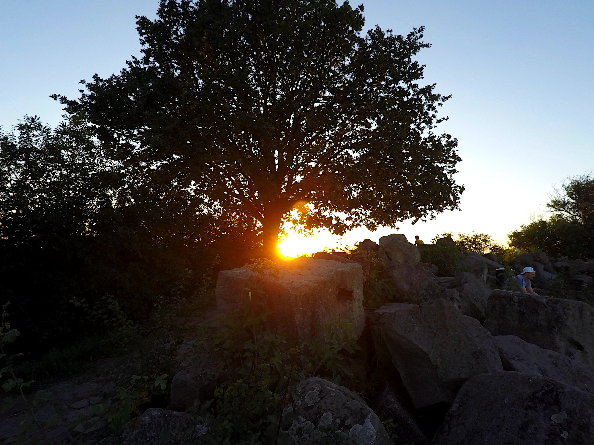 Birkenkopf (Foto)