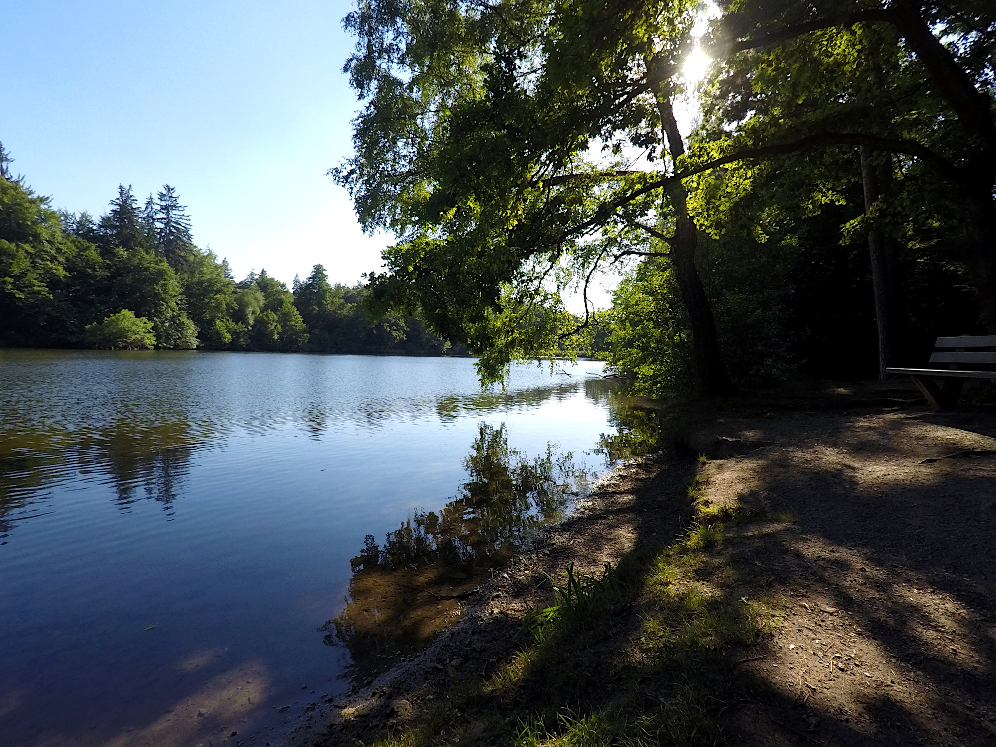 Pfaffensee (Foto)