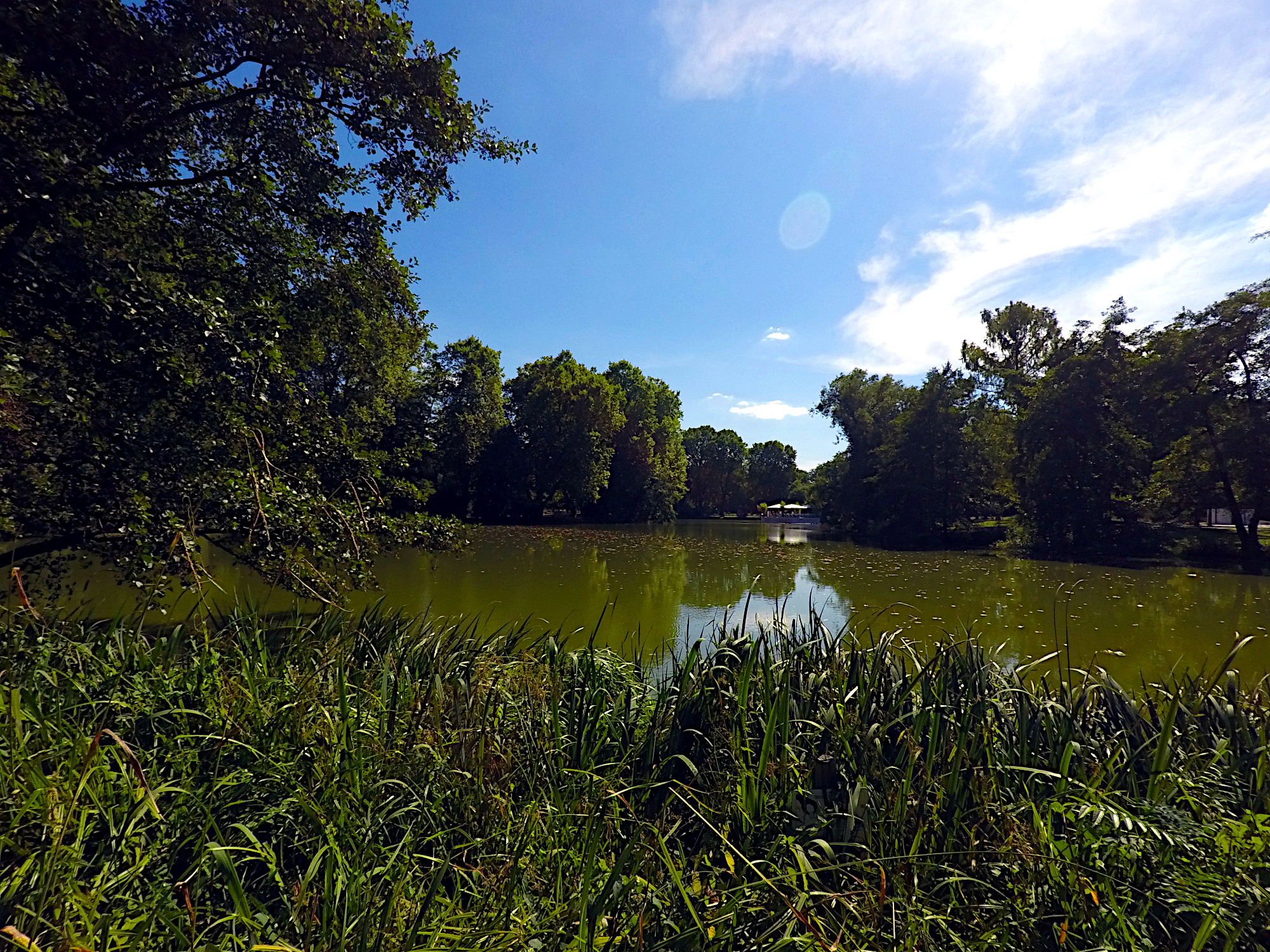Anlagensee im Mittleren Schlossgarten (Foto)