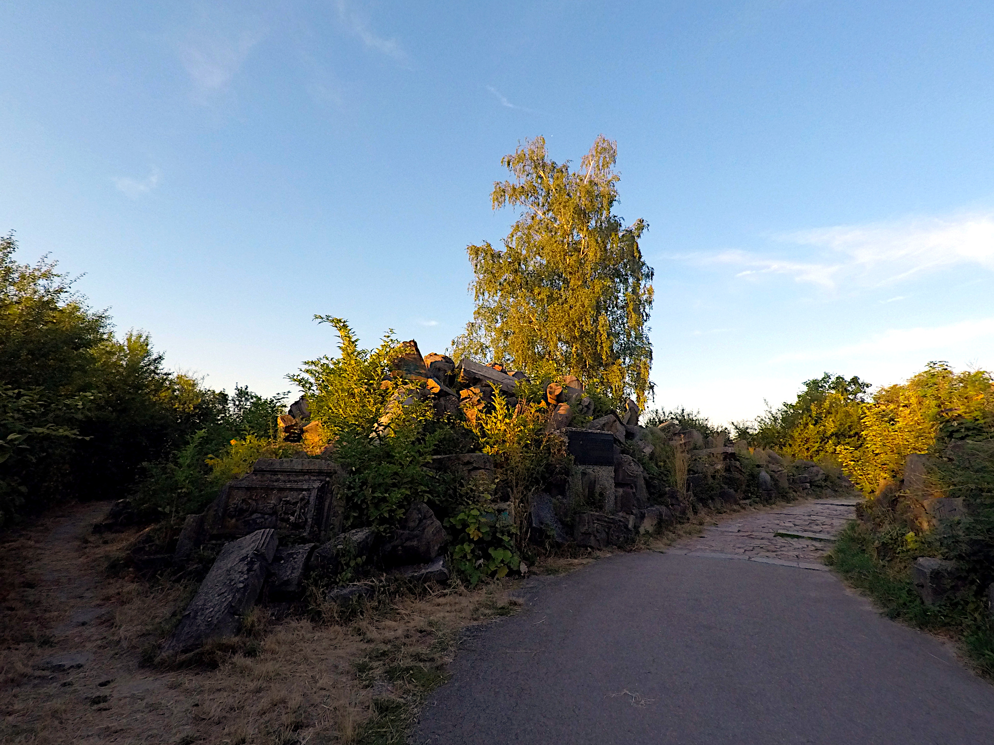 Birkenkopf (Foto)
