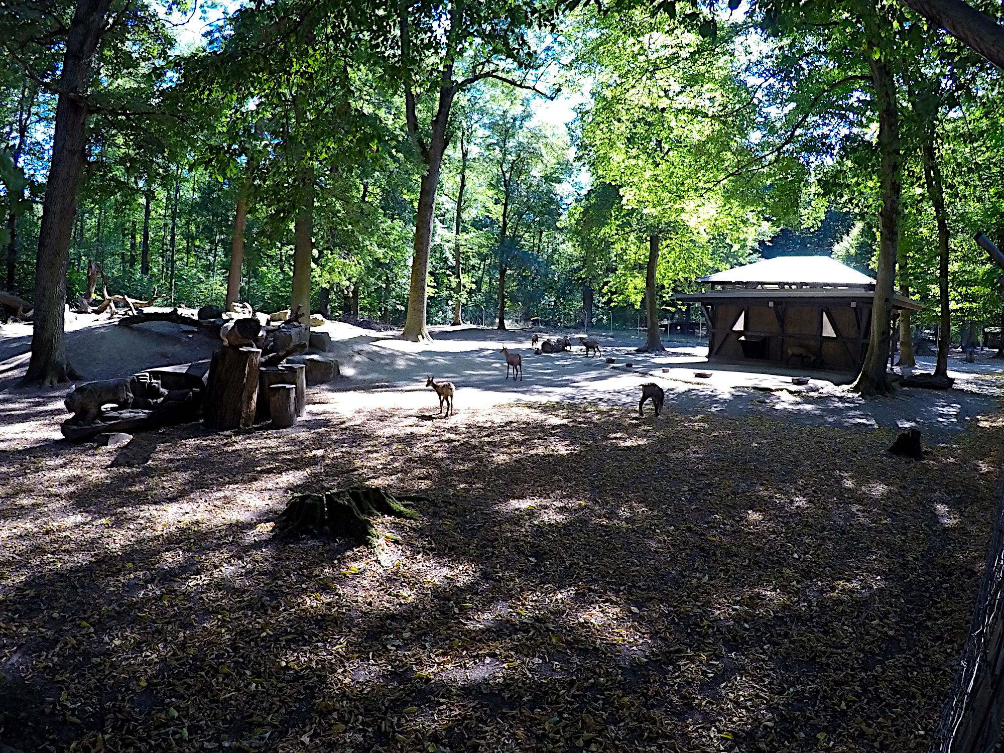 Tierpark-Oberwald (Foto)