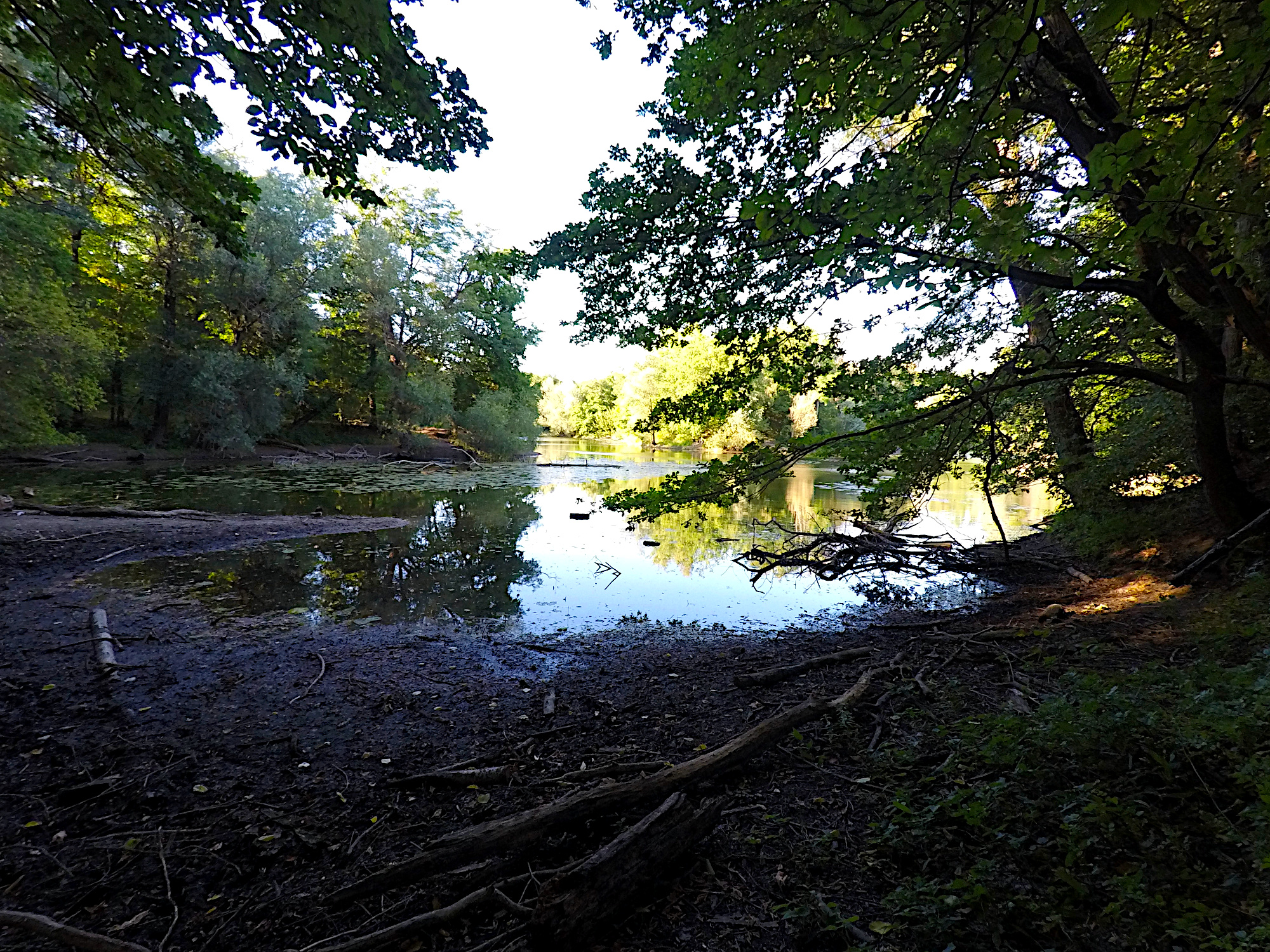 Oberwald See (Foto)